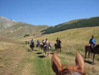 Horse riding holidays in beautiful Umbria, Italy with superb horses and terrific food and wine!
