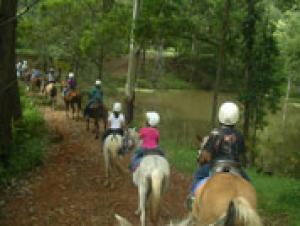 Trail Riding at Kiah Park