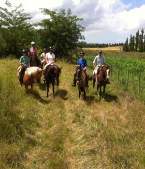 Horseback Riding Holidays In A Beautiful Landscape With Lonely Beaches In Famous Colonia In Uruguay