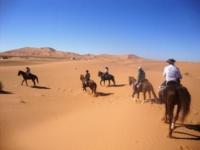 Equi Evasion - Horseback Riding Vacations on the moroccan atlantic Coast from Morocco!