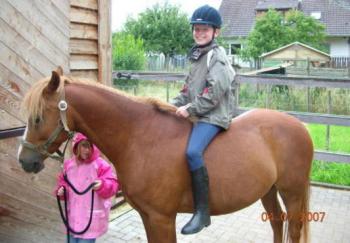 Holiday Company, B & B for Horses, Riding Stable, Children's Holiday Company in Loßburg/24 Höfe