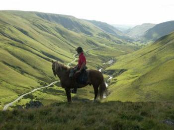 Trans Wales Trails in Brecon / All Regions