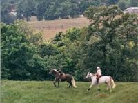 B & B at Penmerryl - bring your own horse to the beauty of the Shenandoah Valley of Virginia