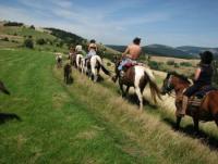 Overo Ranch - Western riding in Nowa Ruda, Low Silesia, Horseback Riding Vacations in Poland!