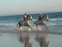 6 noches vacaciones con aventuras a caballo en un Parque Natural de cádiz, Tarifa. Costa de la Luz