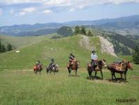 Horse Trekking tours in Transylvania with pack horses in Szeklerland - Riding Holidays in Romania!