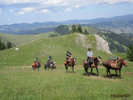 Hipparion Riding Center in Gheorgheni / All Regions