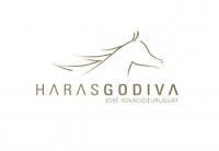 HARAS GODIVA  - Horseback Riding on the beaches of Jose Ignacio, Uruguay!
