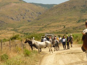 Caravan Horse Riding in Gjirokastra UNESCO heritage town in south Albania. / All Regions