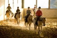 Horseback Riding Holidays for everyone at the Riding Stable in Castellare di Tonda, Tuscany, Italy!