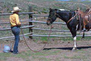 picture 5 from Badger Creek Ranch
