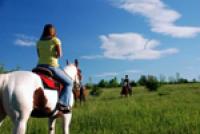 Painted Bar Stables - Horseback Riding Vacations in the Finger Lakes National Forest, New York!