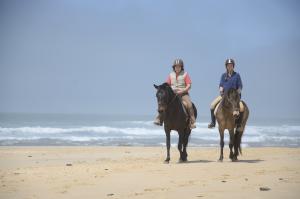 picture 3 from Cavalos do Mar