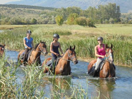 Breeding Company, Dude/Guest Ranch, Riding Stable in Ogorje Near Split