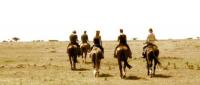 Volunteering Programs with horses close to Kruger National Park in South Africa!