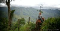 Horseback Riding in Costa Rica. Horse Trek Monteverde offers rides 2.5 hours to 8 day riding holiday