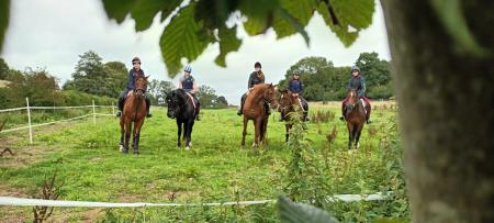 Ridgeview Riding  Holidays  in Somerset / All Regions