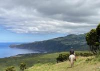 PÁTIO - Horse & Lodge. Trail-Riding en la isla de las Azorean Faial en el Atlántico Medio