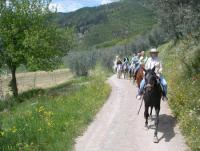 Horseback Riding Holidays in Tuscany: Riding in the beauty of the Florentine hills, Acone, Italy