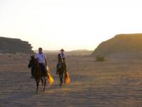 Gamila Stable - Horseback Riding Vacations in Makadi Bay / Hurghada / Red Sea! Riding in Egypt!