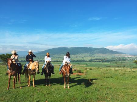 Holiday Company, Dude/Guest Ranch, Ranch Resort, Ranch with Winter Snow Activities, Riding Stable, B & B for Horsemen, Western Riding Stable, Hotel for Horsemen in San Agustin Buenavista