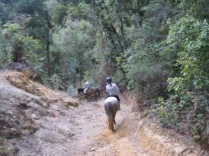 Ridingcolombia horse ride tours