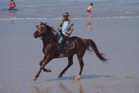 Amodou Cheval - Horse riding holiday in Agadir Morocco