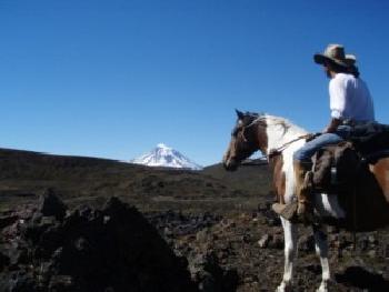Helper for tours and caretaking of the herd at Antilco, the reknown horse ranch in Pucon, northern Patagonia.