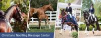 Working student in a Dressage barn in California for at least 1 year. He/she should be able to ride quite well second level or better 3 rd level.