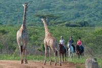 Horseback Riding Holidays - Horseback Safaris in Pakamisa Game and Nature Reserve, South Africa