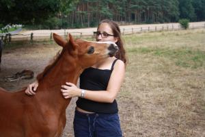 picture 3 from Horse riding Camp Juniorclub