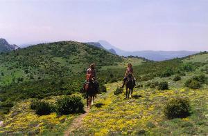 Horseback rides in the surrounding area