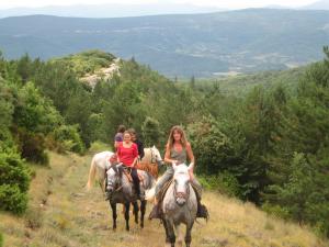 Out and about above Les Baillesats
