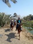 Al Sorat Farm - Horse Riding Vacation in Abu Sir - Gizeh, in the Nile Valley, Egypt!