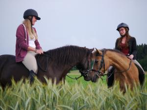 picture 5 from Horse experience