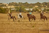 Naturacavall - Horseback Riding Holidays on the island of Mallorca, Spain, near Manacor
