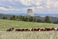 Working Guest Ranch near Devils Tower national monument, Black Hills, Wyoming