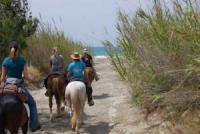 Horseback Riding Holidays on Rhodes, the Island of sun, Greece! Riding in endless Nature!