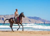 Zoraïda’s Horse Riding for beach-, country rides and swimming with horses in a superb area.