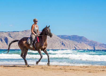 Zoraïda’s Horse Riding in Kavros / Crete