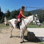 Horse groom and rider at a beautiful mountain riding resort