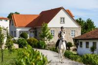 Riding vacations, riding courses and natural horsemanship in exclusive equestrian hotel in Portugal