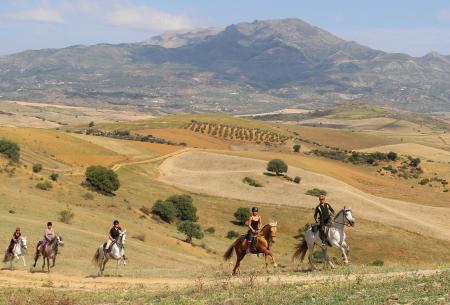 HorseRidingSpain en  Coín / Andalucía-Costa del Sol, de la Luz