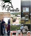 Penbritte Equestrian Academy riding coach and yard management training