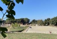 Au pair in small dressage stable in South Tuscany