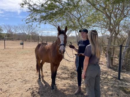 Prácticas y puestos fijos en nuestro rancho de México