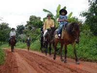 Thai Horse Farm Co. Ltd. HORSE TREKKING IN THE NORTH OF THAILAND