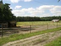 Offenstallplatz für 1-2 Ponys oder Kleinpferde in Bio- Betrieb mit netter Stallgemeinschaft