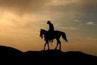 Korta Escape a Riding Holiday Destination for Horse Lovers. Ride Indigenous Breed of Marwari Horse.