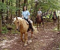 Riding vacation packages available with hotel accomodations near-by. Easy guided trail rides
